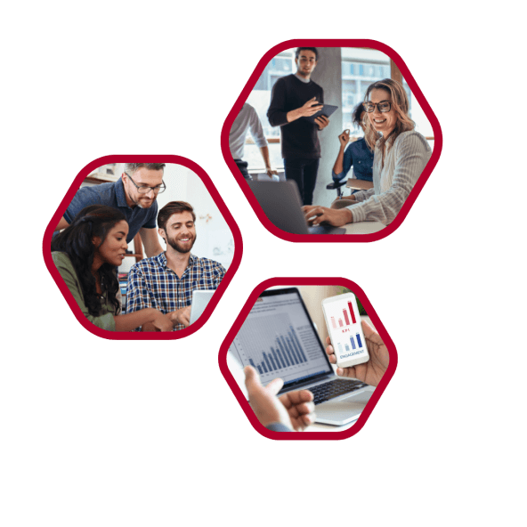 about queen tech solution