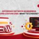 A side-by-side visual comparison displaying a website screen with a 3D WordPress logo next to a computer monitor showing lines of code with tools and gears, illustrating the Difference Between WordPress and Custom CMS.